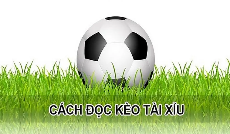 Hướng Dẫn Cách Chơi Kèo Tài Xỉu Tại NowGoal Chi Tiết Dễ Hiểu Nhất
