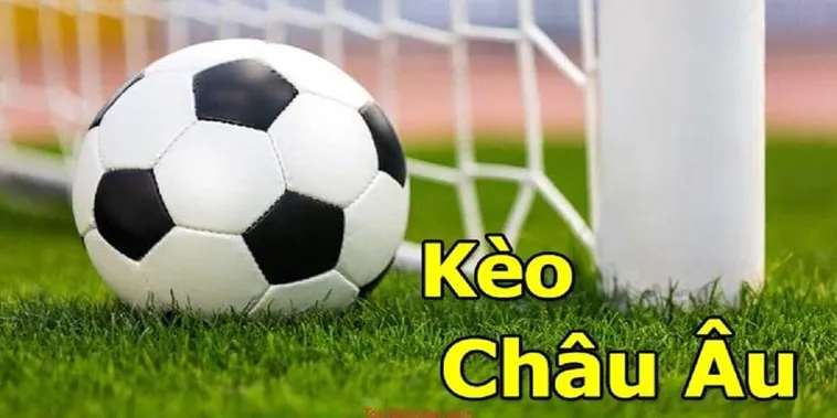 Cách Chơi Kèo Châu Âu Tại Nowgoal Chuẩn Xác Và Hiệu Quả Nhất