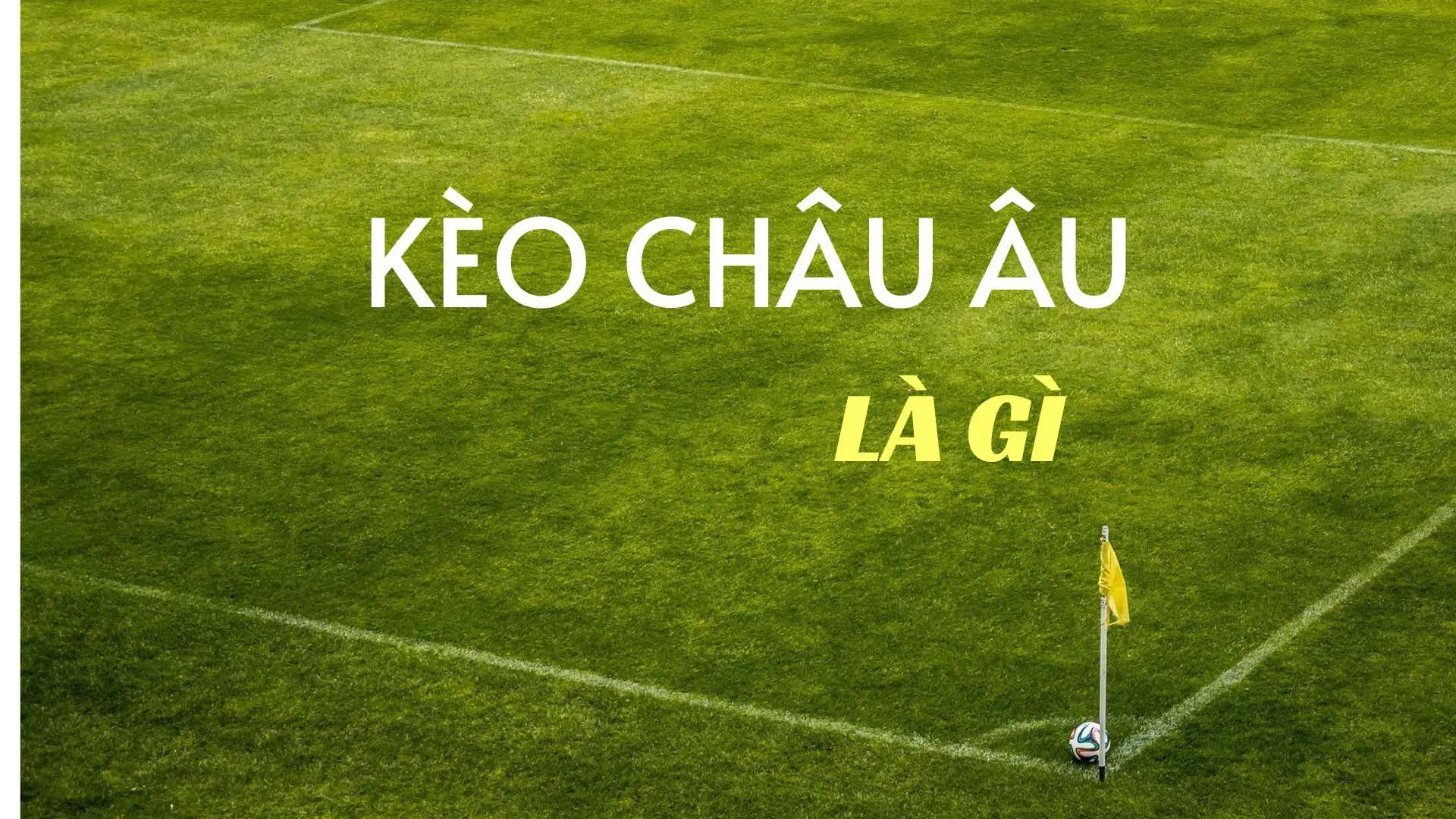 Cách Chơi Kèo Châu Âu Tại Nowgoal Chuẩn Xác Và Hiệu Quả Nhất
