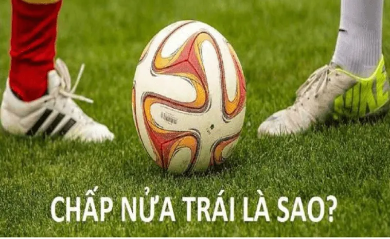 Hướng Dẫn Cách Chơi Kèo Chấp 0.5 Tại NowGoal Chuẩn Cho Người Mới