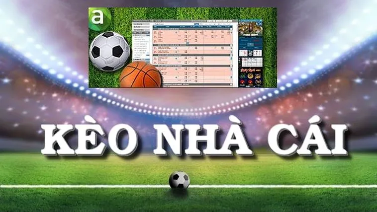 Tổng Hợp Kiến Thức Cơ Bản Về Kèo Bóng Đá Cho Người Mới Chơi