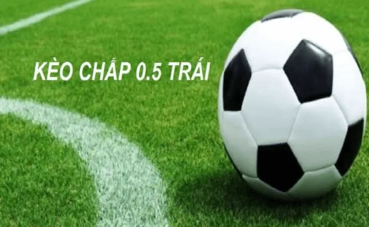 Hướng Dẫn Cách Chơi Kèo Chấp 0.5 Tại NowGoal Chuẩn Cho Người Mới