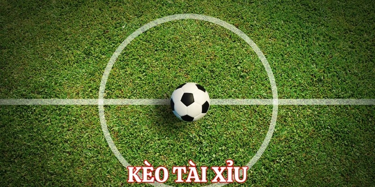 Hướng Dẫn Cách Chơi Kèo Tài Xỉu Bóng Đá Tại NowGoal Chi Tiết Dễ Hiểu