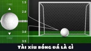 Hướng Dẫn Cách Chơi Kèo Tài Xỉu Bóng Đá Tại NowGoal Chi Tiết Dễ Hiểu