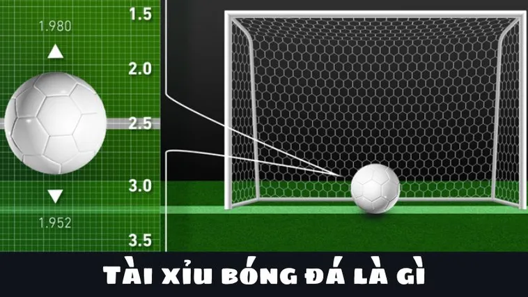 Hướng Dẫn Cách Chơi Kèo Tài Xỉu Bóng Đá Tại NowGoal Chi Tiết Dễ Hiểu
