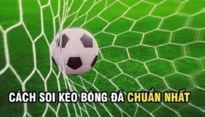 Hướng Dẫn Cách Chơi Kèo Rung Trong Bóng Đá Tại NowGoal Chi Tiết