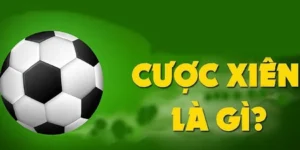 Cách Chơi Kèo Xiên Trong Bóng Đá Tại Nowgoal Hiệu Quả Nhất